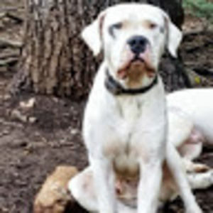 Meet your Posher, James